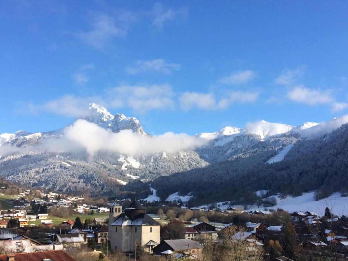 Le 67,Ski Et Randonnee,Lave Linge,Seche Linge,Parking Bernex Exterior photo