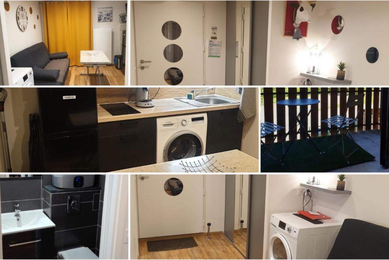 Le 67,Ski Et Randonnee,Lave Linge,Seche Linge,Parking Bernex Exterior photo