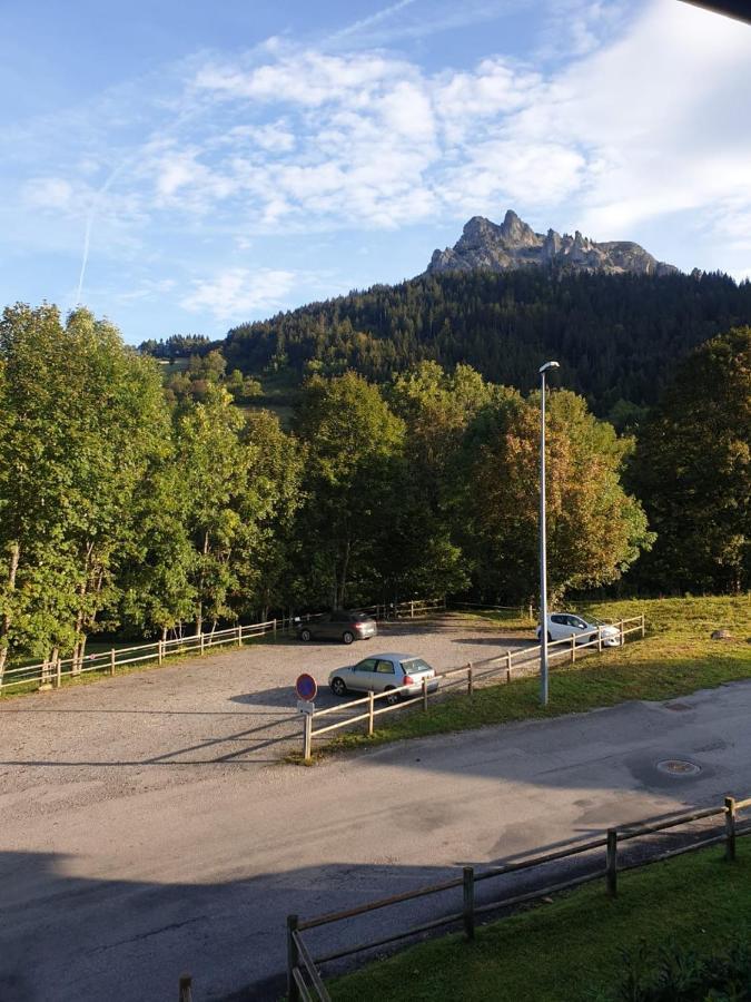 Le 67,Ski Et Randonnee,Lave Linge,Seche Linge,Parking Bernex Exterior photo